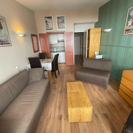 Lejlighed A 500m Des Pistes, Balcon Expose Sud, Wifi, Animaux Admis - Fr-1-449-16