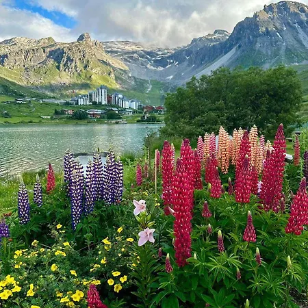 Lejlighed A 500m Des Pistes, Balcon Expose Sud, Wifi, Animaux Admis - Fr-1-449-16 Tignes